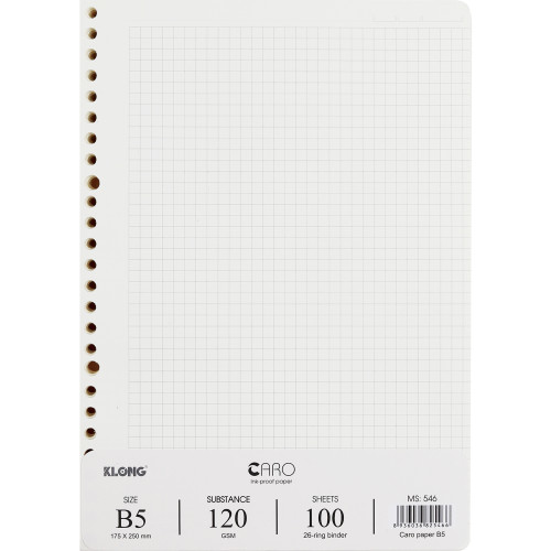 Ruột sổ còng Caro B5 100 tờ 546